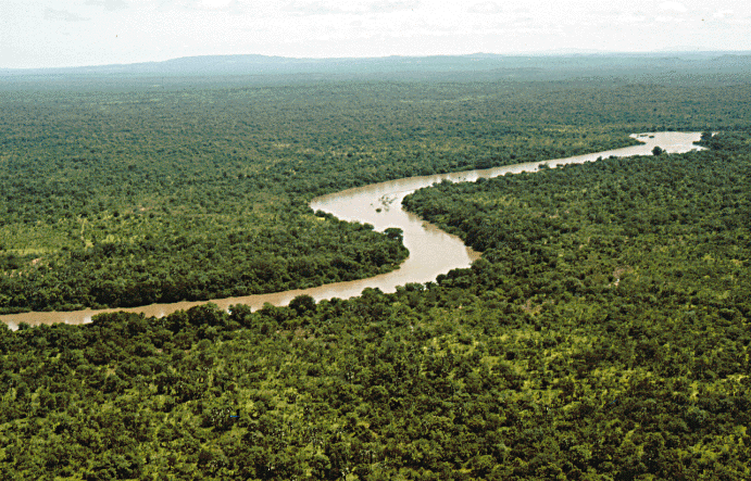 river_gambia_niokolokoba_national_park