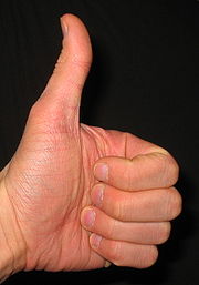 180px-thumbs_up