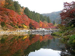 250px-kourankei