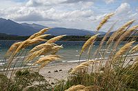 200px-lake_manapouri_01