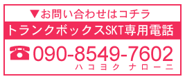 トランクボックスSKT お問い合わせは090-8549-7602